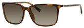 Hugo Boss 0666/S 0DWJ Havana Havana sunglasses