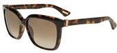 Lanvin SLN676M 0C10 shiny havana/light brown shaded sunglasses