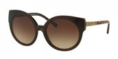 Michael Kors MK2019 311613 brown/smoke gradient sunglasses