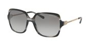 Michael Kors MK2053F 328911 BLACK HORN sunglasses