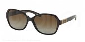Michael Kors MK6013 3019T5 brown/brown gradient polarized sunglasses
