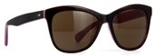 Paul Smith PM8153S - Aleister (S) 108973 Black Horn sunglasses