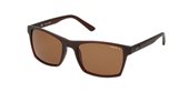 Police S1870M Brown  sunglasses
