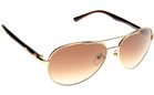 Police S8640 0300 59 Gold alloy with glossy brown arms sunglasses