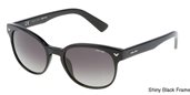 Police SPL143 Shiny Black Frame sunglasses