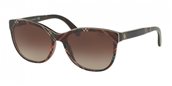 Polo PH4117 562213 BLACK TARTAN brown gradient sunglasses
