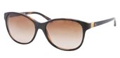Ralph Lauren RL8116 526013 black/gradient brown sunglasses