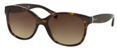 Ralph RA5191 137813 DARK TORTOISE sunglasses