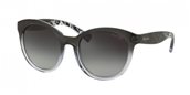 Ralph RA5211 151111	black/grey gradient sunglasses