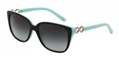 Tiffany TF4111BF 80553C black/gray gradient sunglasses