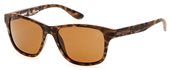 Timberland TB9089 49H	matte dark brown / brown polarized Sunglasses