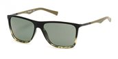 Timberland TB9108 55R coloured havana green polarized sunglasses