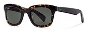 Tod&#39;s TO0121 52N Dark Tortoise sunglasses