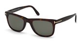 Tom Ford FT0336 56R Havana Other sunglasses