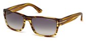 Tom Ford FT0445-F 50B	dark brown/other / gradient smoke sunglasses