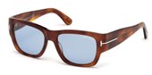 Tom Ford FT0493 STEPHEN 53V	blonde havana / blue sunglasses