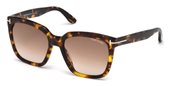 Tom Ford FT0502-F 52F dark havana / gradient brown sunglasses