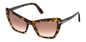 Tom Ford FT0555 VALESCA 02 52F dark havana / gradient brown sunglasses