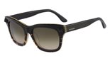 Valentino V670S (013) BLACK HAVANA/HONEY sunglasses