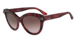 Valentino V695S (649) RED HAVANA Sunglasses