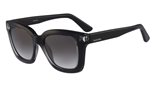 Valentino V699S (001) BLACK sunglasses