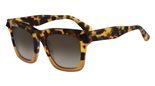 Valentino V711S (205) TOKYO HAVANA-HONEY Sunglasses
